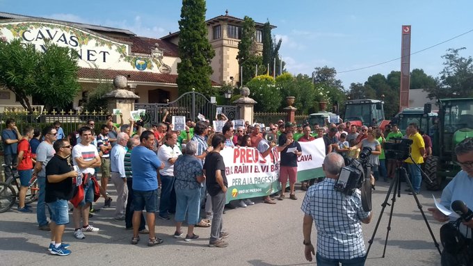 PROTESTAS EN EL CAMPO: Los viticultores catalanes unen su protesta con la huega de la sector