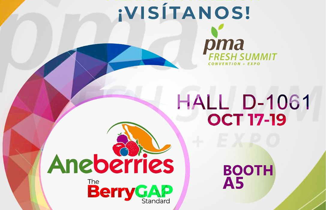 ANEBERRIES abanderará su certificación Berry Gap en la Feria PMA 2019