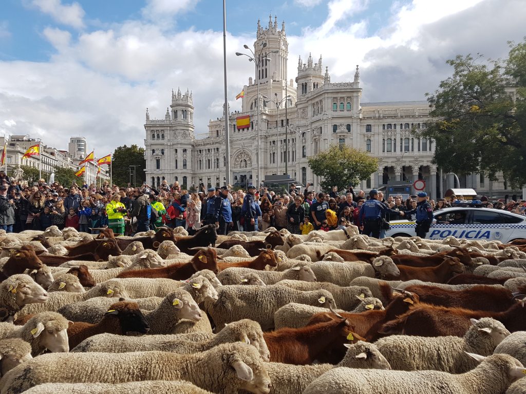 La ciudad y el campo se dan la mano en una nueva edición de la Fiesta