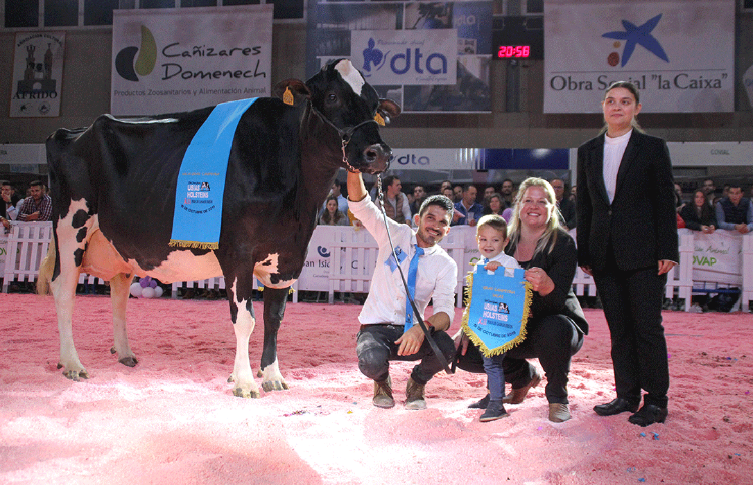 La ganadería Huerta Los Tobías se lleva el título de la Vaca Gran Campeona en la Feria de Frisón