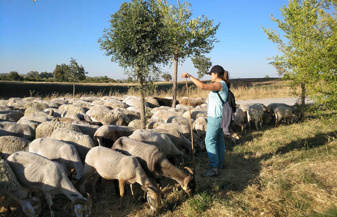 La Escuela de Pastores andaluza, reconocida a nivel nacional como actividad modelo de los Programas de Desarrollo Rural