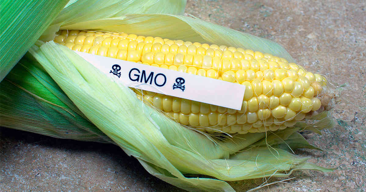 La Administración debe garantizar la detección de los nuevos OMG