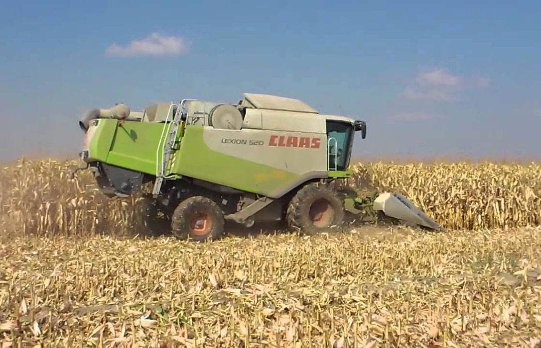 Avanza la siega de maíz en León con precios estables y con el 70% de las hectáreas sembradas recogidas