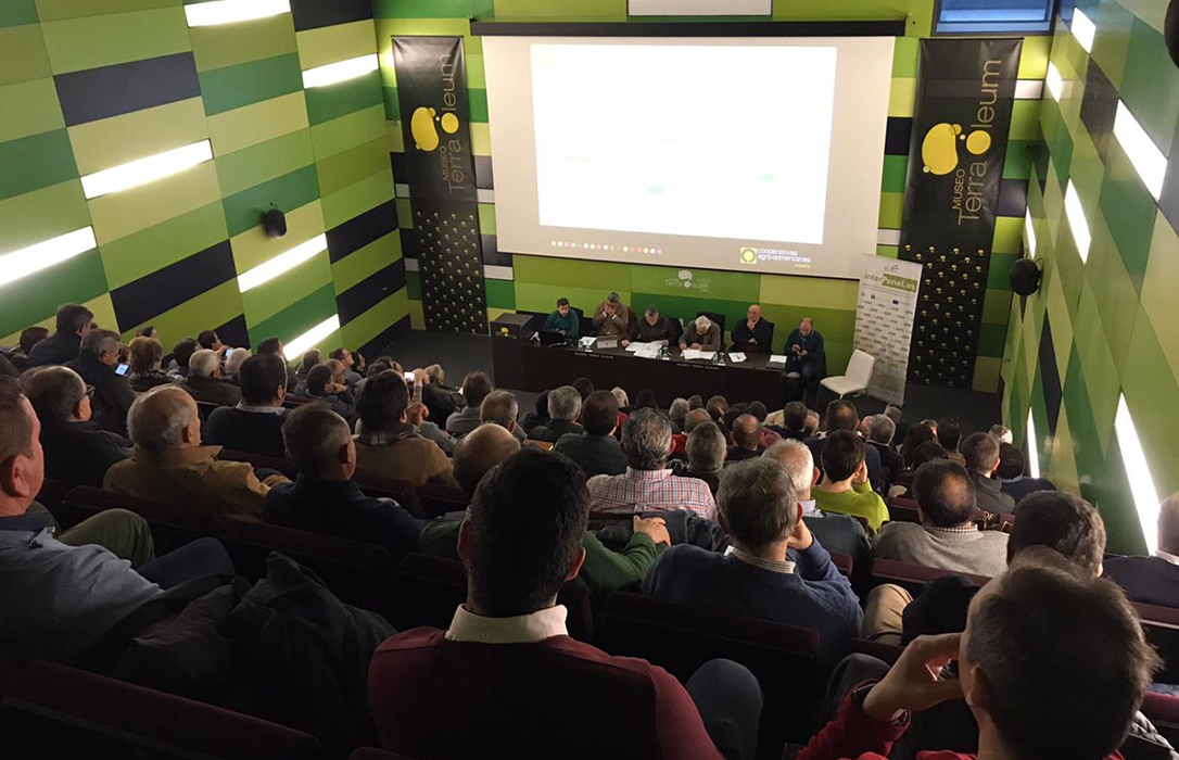 Cooperativas andaluzas acuerda participar de forma activa en todas las nuevas movilizaciones convocadas en el olivar