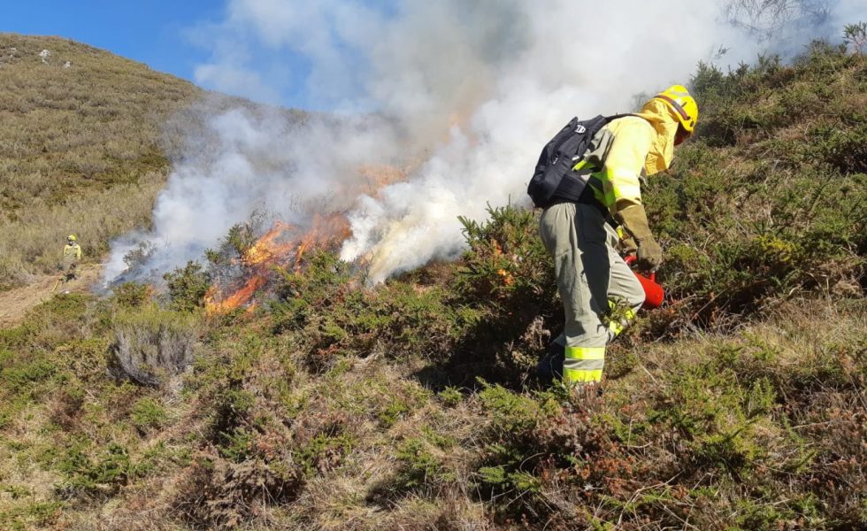Los ganaderos comienzan las quemas de matorral con supervisión para regenerar pastos en una experiencia piloto