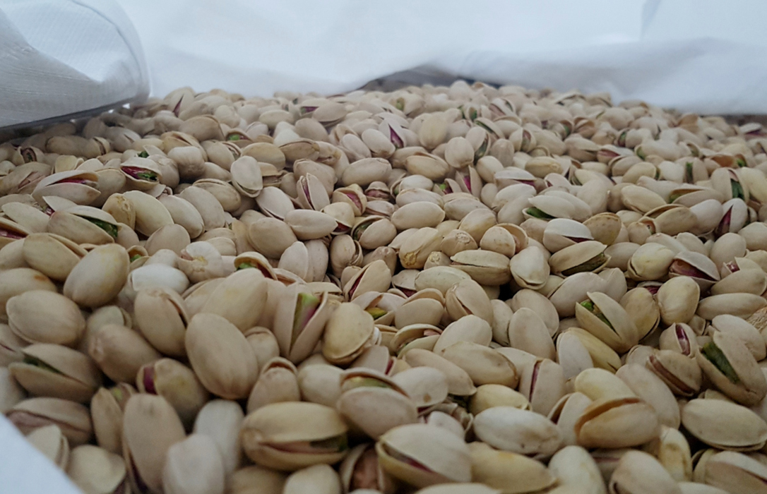 Nace Domo Pistachio, una agrupación de productores de pistacho de Villacañas y Manzanares para comercializar este fruto seco