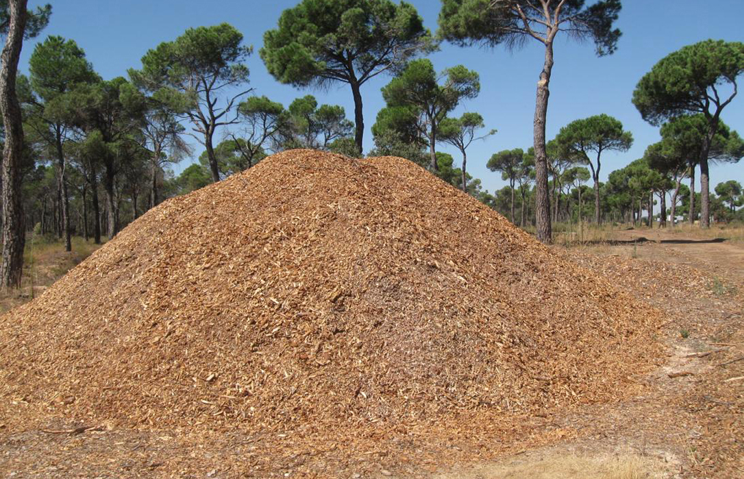 El sector de la biomasa sigue trabajando para llevar la energía a la población y la industria