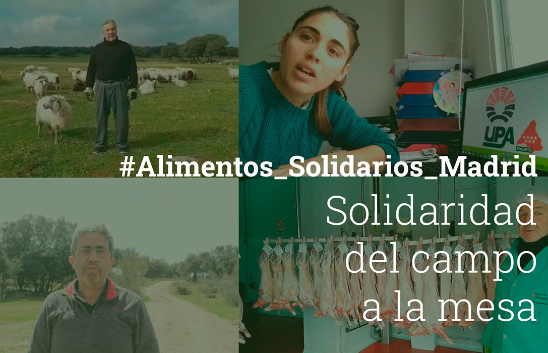 Nueva muestra de solidaridad: Explotaciones y empresas lanzan la iniciativa ‘Alimentos Solidarios de Madrid’
