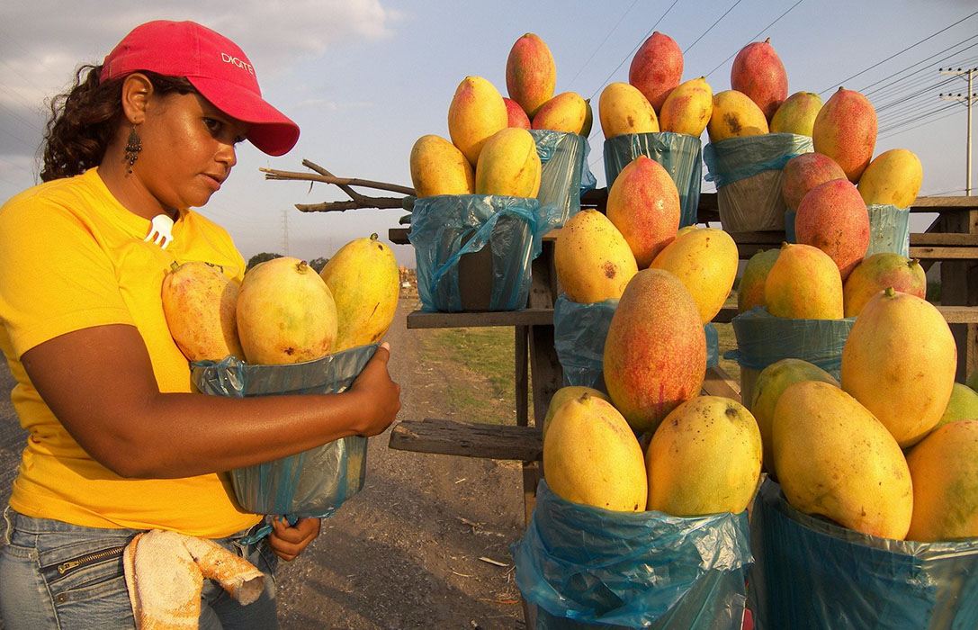 “A pesar del coronavirus, las empresas de mango mexicano siguen trabajando asegurando suministro y calidad a sus clientes”