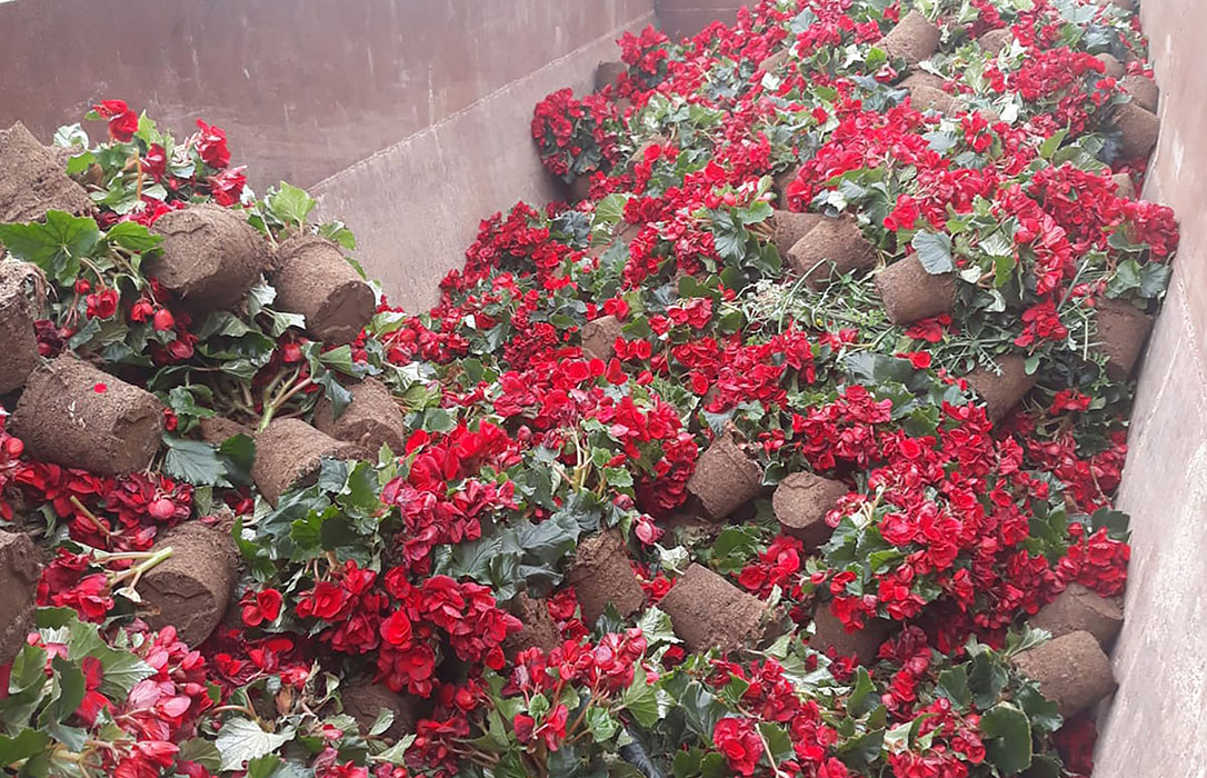Los productores de plantas ornamentales y flores se unen para solicitar ayudas urgentes al sector