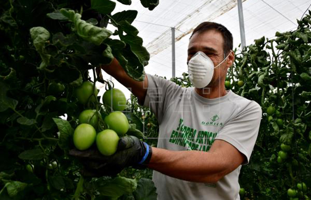 La agricultura, los únicos brotes verdes en el drama del empleo en España al bajar un 10,69% en el primer trimestre del año