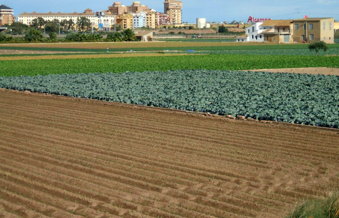 La Red de Ciudades por la Agroecología reclama una apuesta por la producción local frente al COVID-19