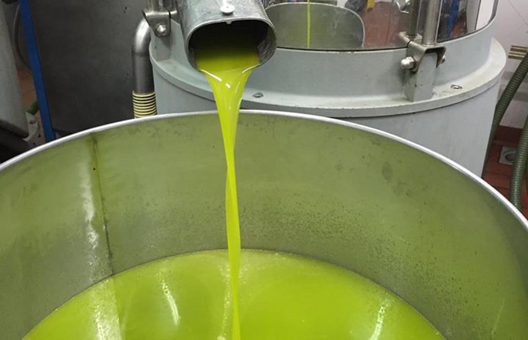 El aceite de oliva logra lo imposible: Sube el consumo durante la pandemia pero bajan los precios en origen