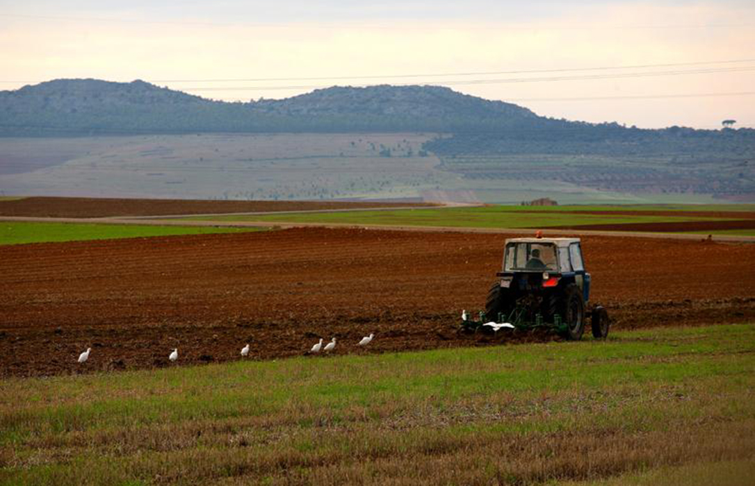 Autorizado el convenio entre Enesa y Agroseguro para la ejecución de los planes de seguros agrarios en el ejercicio 2020