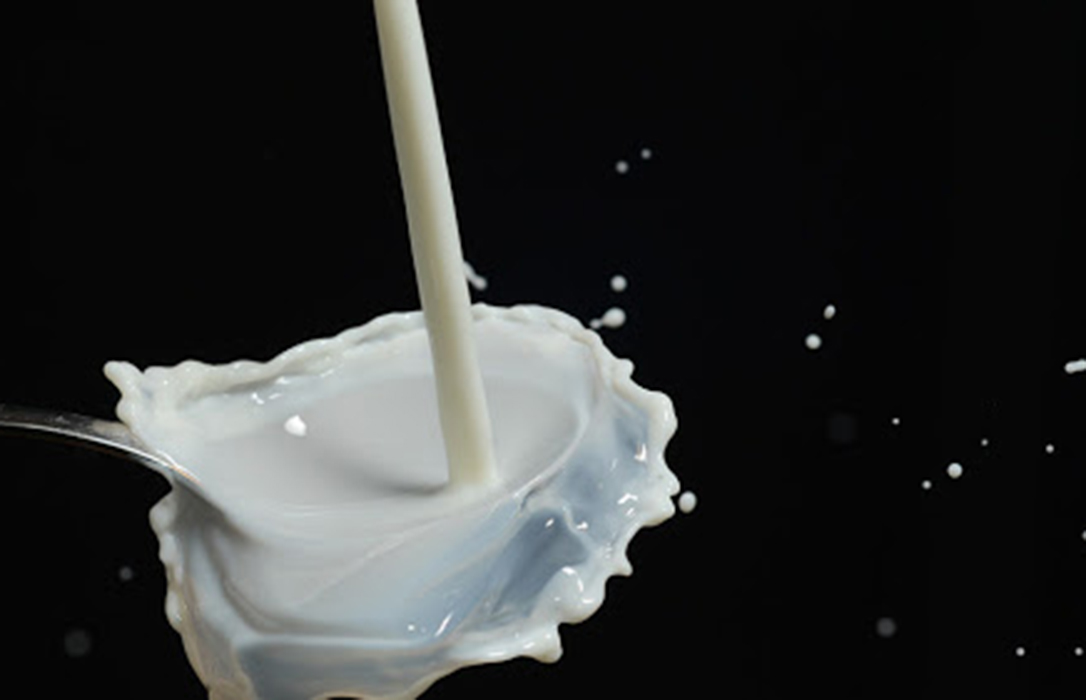 La industria láctea alerta sobre el impacto de la entrada de excedentes de leche europea en forma de quesos de bajo valor añadido