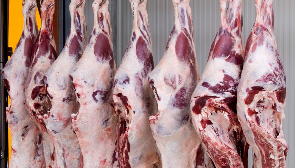 El sector vacuno pide a la UE almacenamiento privado para 46 toneladas carne por COVID; el ovino y caprino, aún nada