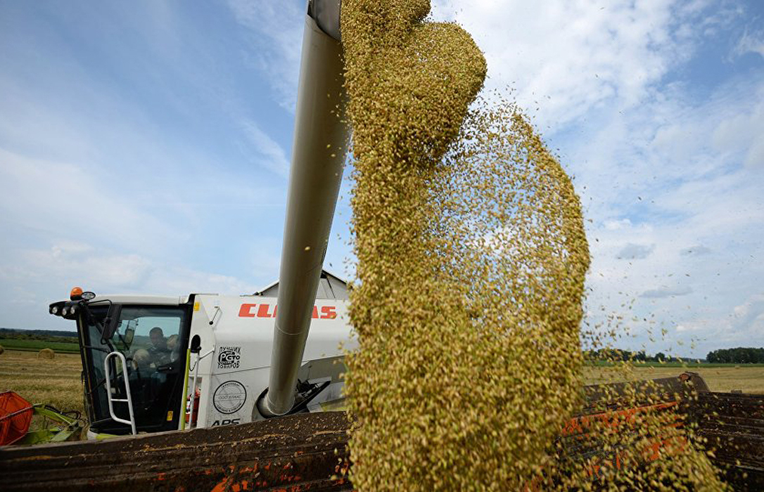 Los precios de los cereales continuaron su tendencia a la baja arrastrados de nuevo por la cebada