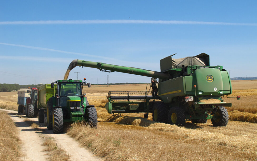 Proponen adelantar en cinco días las fechas de cosecha de cereal para parcelas acogidas a medidas agroambientales