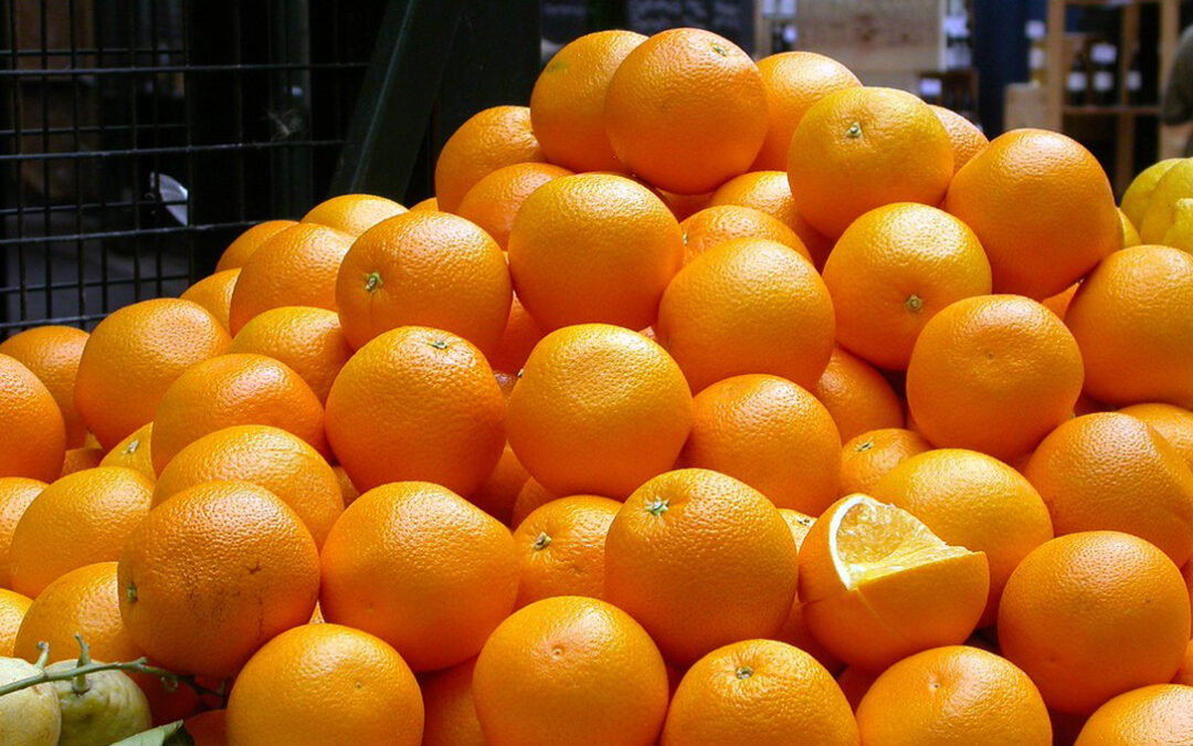 Califican de “gran disparate y auténtico atropello» que Reino Unido suba los aranceles a las clementinas y naranjas de la UE