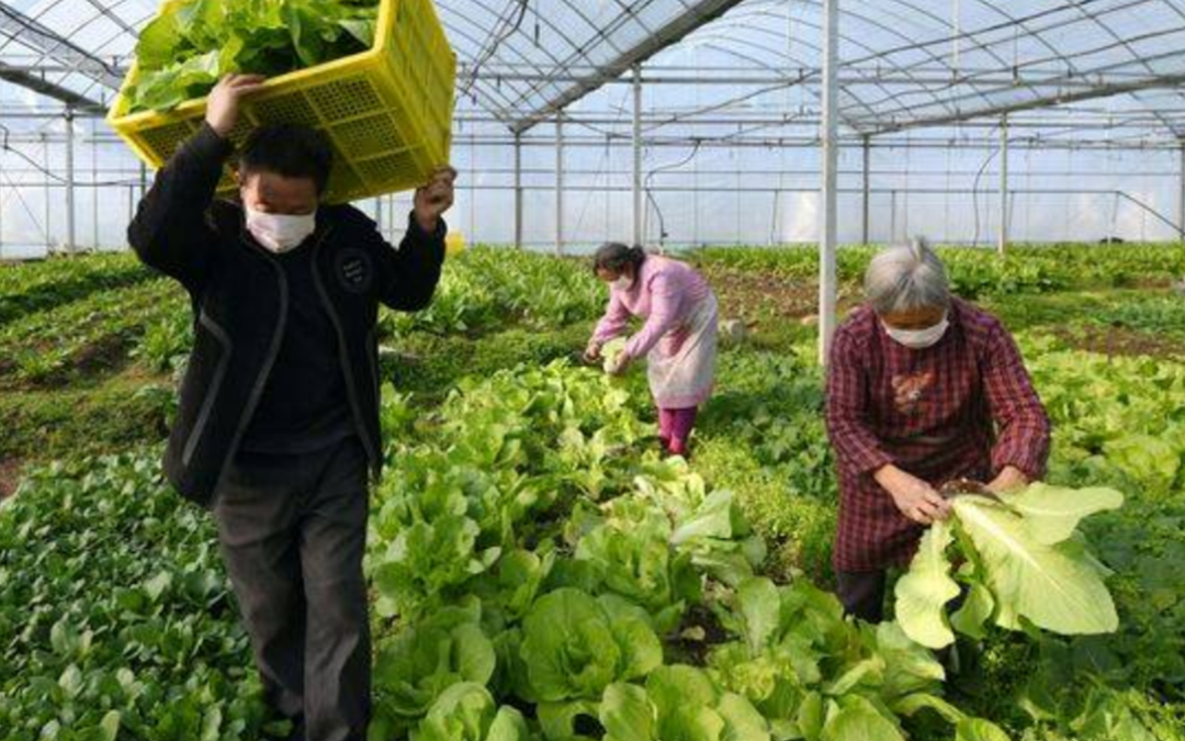 COAG refuerza su compromiso con el empleo agrario de calidad con un convenio de ordenación de flujos migratorios con el Gobierno