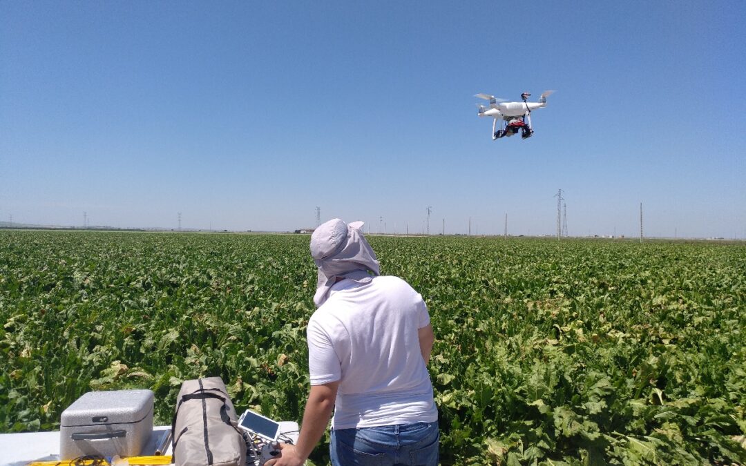 El dron, un aliado en la medición de riego a través de imágenes térmicas que hará los cultivos más sostenibles