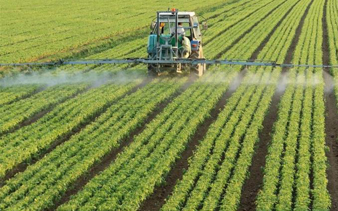 El Consejo de Ministros actualiza la normativa sobre comercialización de los fertilizantes en la Unión Europea