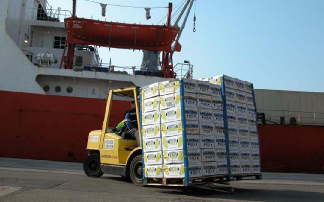 Reciprocidad: Peligra la exportación de 15.000 toneladas de ciruelas mientras llegan a Europa bralieñas con productos no permitidos