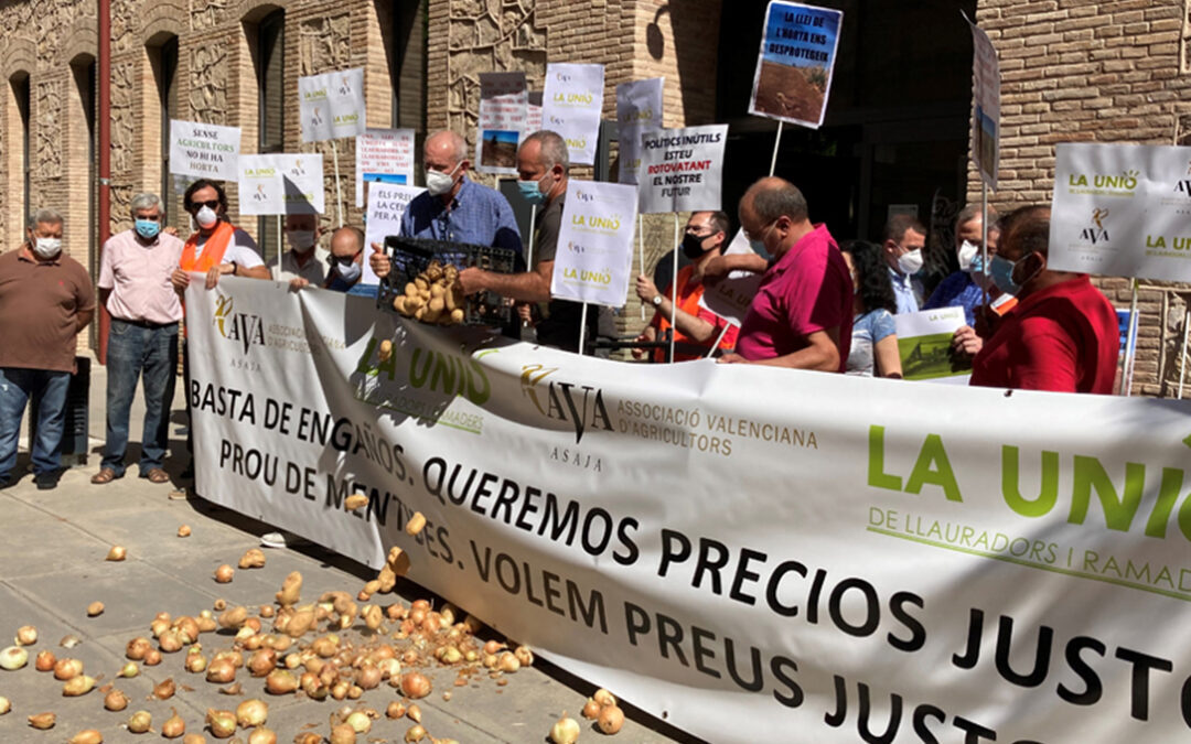 De vuelta a la calle: Tras las protestas por la cebolla y la patata, el campo valenciano se moviliza por el riesgo de los cítricos