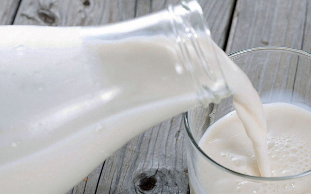 Indignación conjunta del sector lácteo por la venta a pérdidas en Cantabria y piden que no la compren