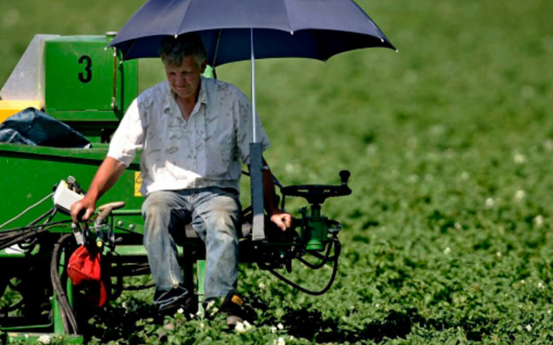 Un buen paraguas de partida para la PAC si se liga la figura del agricultor genuino a un mínimo de rentas agrarias
