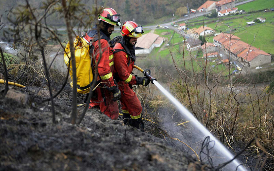 El Gobierno adopta un plan contra incendios forestales que incluye seguros agrarios a las producciones agrícolas y ganaderas