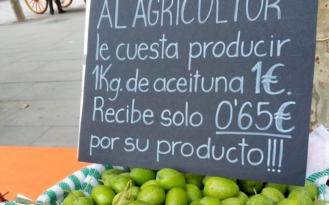 La aceituna de mesa también saldrá a la calle y se movilizará en agosto en Sevilla en demanda de mejores precios