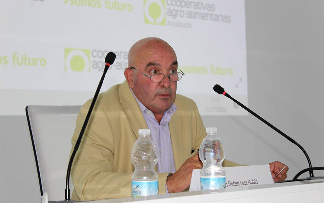 ENTREVISTA. Juan Rafael Leal (Cooperativas Andalucía): «Compartimos que se pague un precio justo si el Ministerio fija los costes»