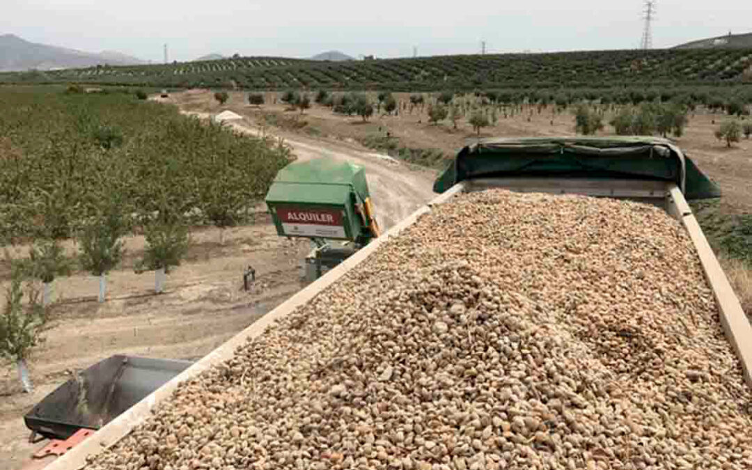 La producción e industria de almendra ecológica española sale al paso de las acusaciones infundadas desde Francia contra el sector