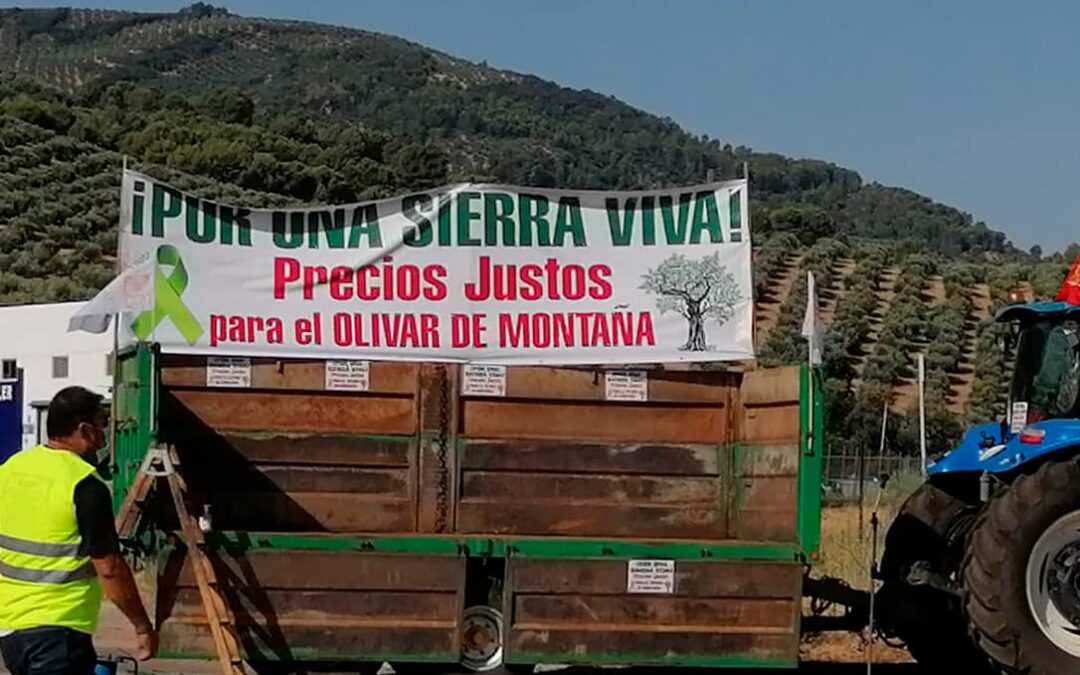 Trece municipios protestan en defensa del olivar de la Sierra, aunque deben suspender el acto por una alerta por coronavirus
