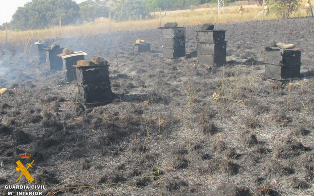 Un incendio forestal arrasa 30 colmenas y enjambres al usar artefactos con cartuchería real para ahuyentar depredadores