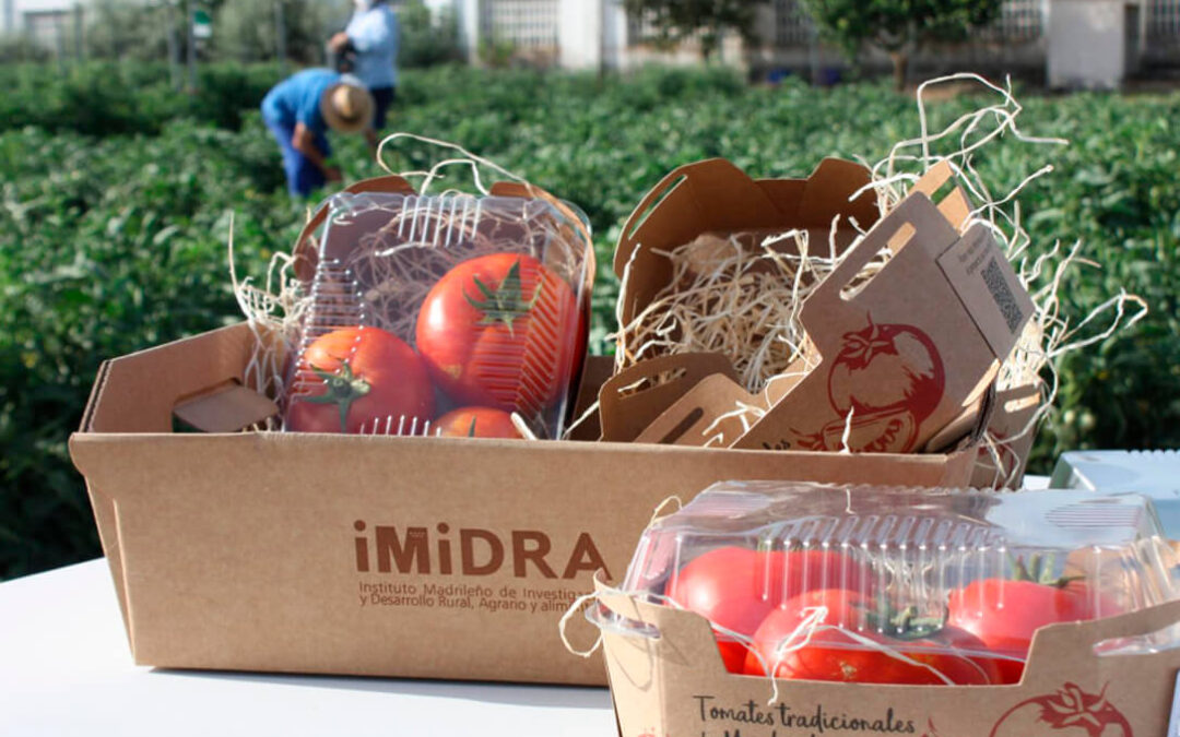 Madrid comercializará por primera vez tres variedades de tomate tradicional recuperadas en la región