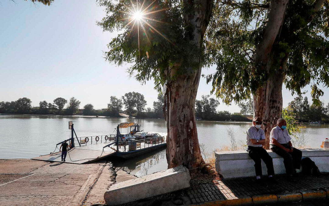 Temen la propagación del virus del Nilo Occidental de las zonas arroceras de Sevilla a los espacios húmedos valencianos