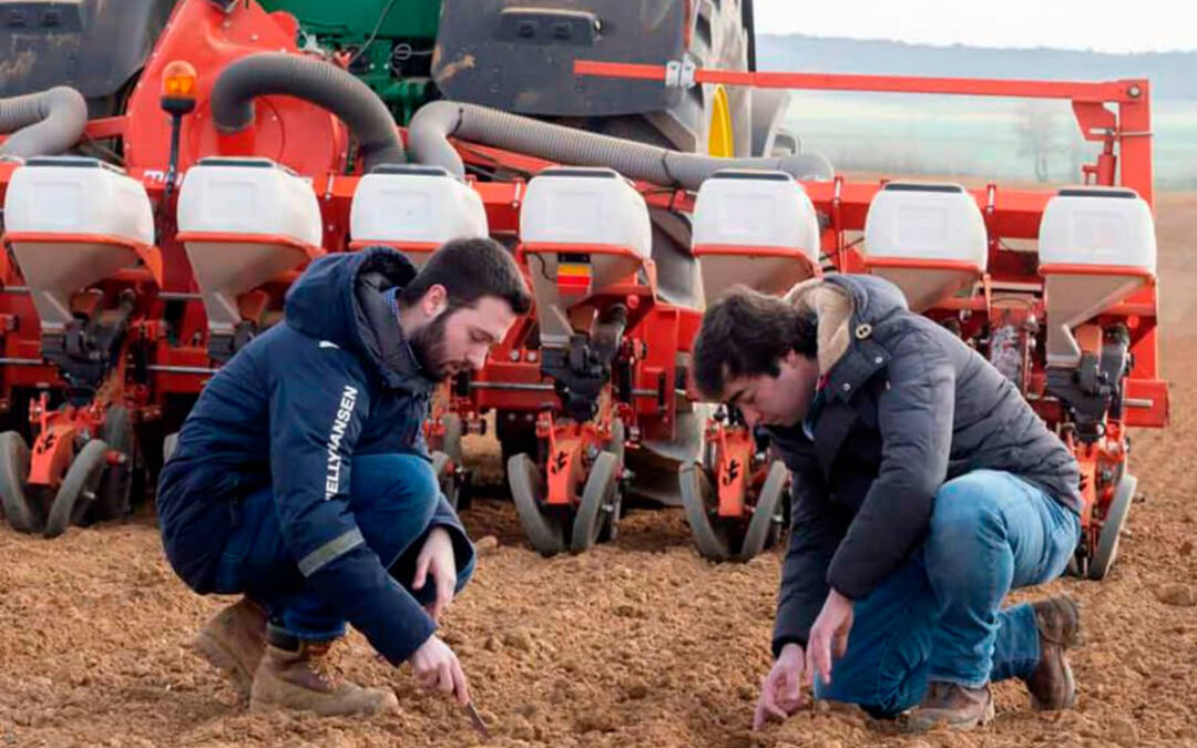 Los socios de ACOR tendrán un ahorro de 180 euros por hectárea en la semilla de remolacha para incentivar su siembra