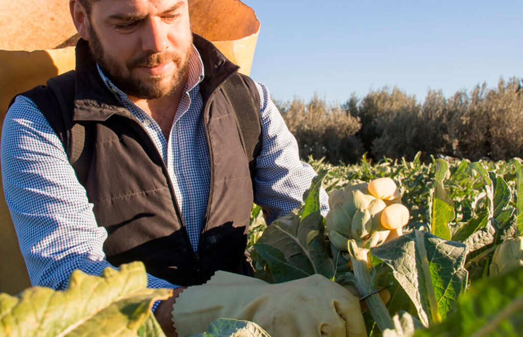 El sector lo tiene muy claro: Si es carne, es carne; si es vegetariano o  veganos, no se le puede llamar como si fuera carne - Agroinformacion