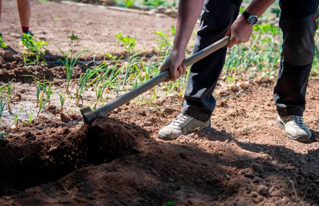 El sector lo tiene muy claro: Si es carne, es carne; si es vegetariano o  veganos, no se le puede llamar como si fuera carne - Agroinformacion