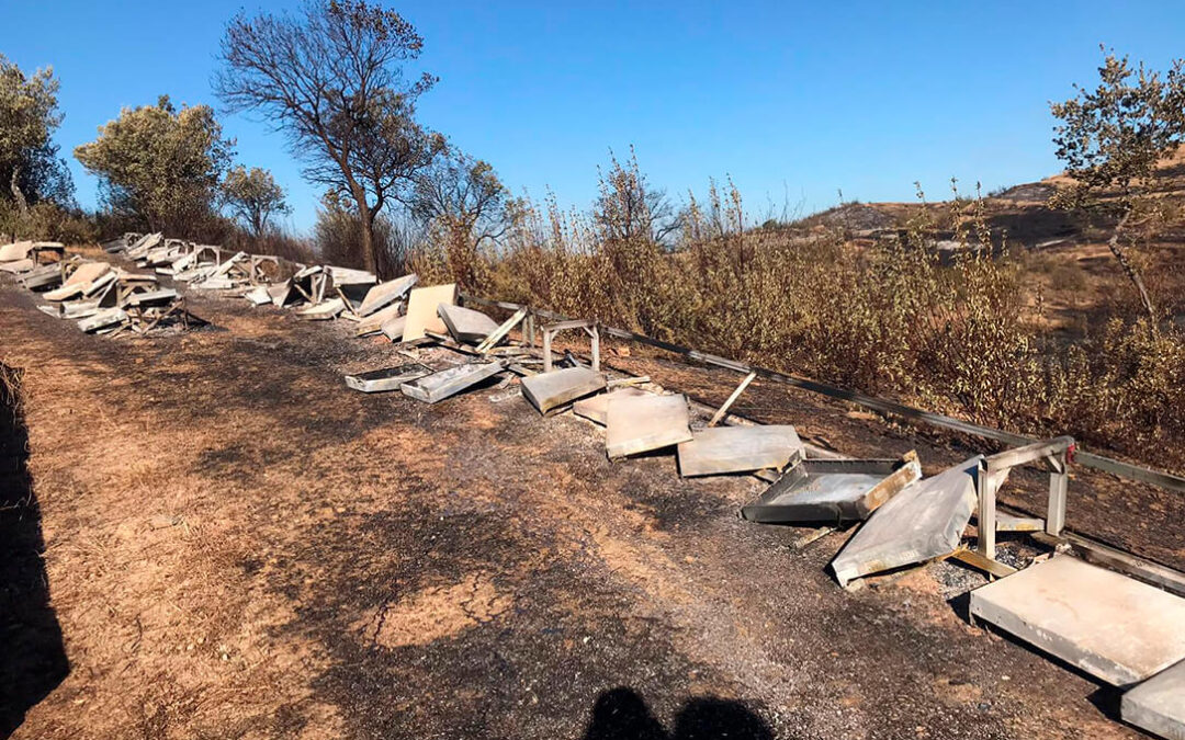 Reclaman que tras el trágico incendio de Huelva no se deje de lado a la numerosa ganadería afectada por las llamas