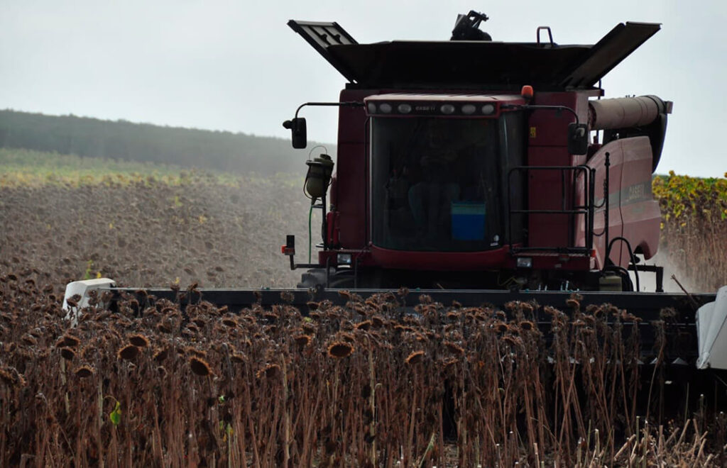 El sector lo tiene muy claro: Si es carne, es carne; si es vegetariano o  veganos, no se le puede llamar como si fuera carne - Agroinformacion