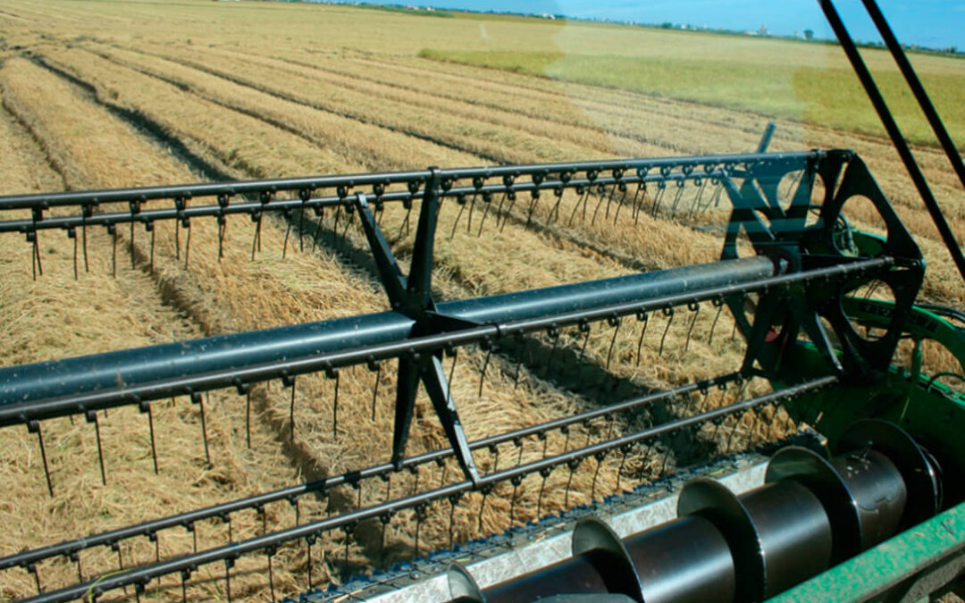 La Conselleria valenciana se compromete a prorrogar un año más la ayuda agroambiental del arroz