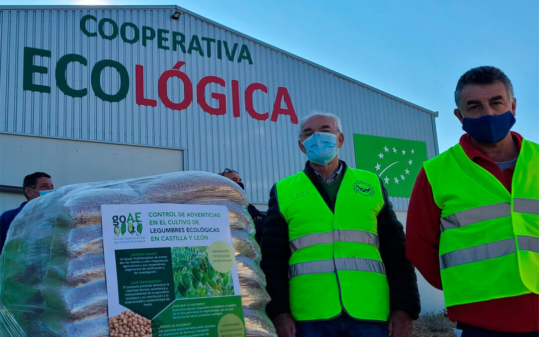 El Grupo Operativo de Agricultura Ecológica dona 2.780 kilos de garbanzo ecológico a los Bancos de Alimentos de CyL