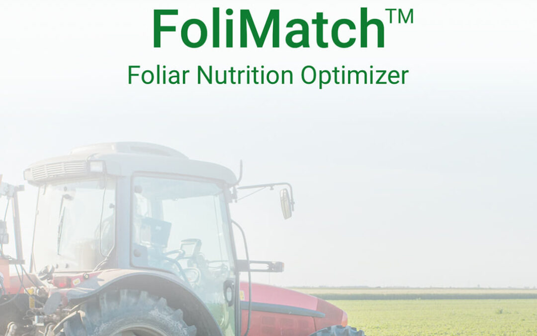 Haifa Group lanza una nueva versión de su aplicación FoliMatch™: Programa de nutrición foliar en 3 pasos para 22 cultivos diferentes