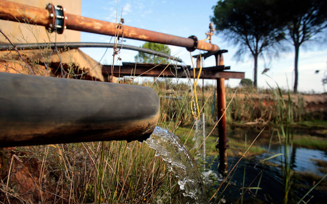 Hasta el agua de lluvia para riego es ilegal: El Supremo considera un «ejercicio abusivo» recoger este agua de lluvia en Doñana