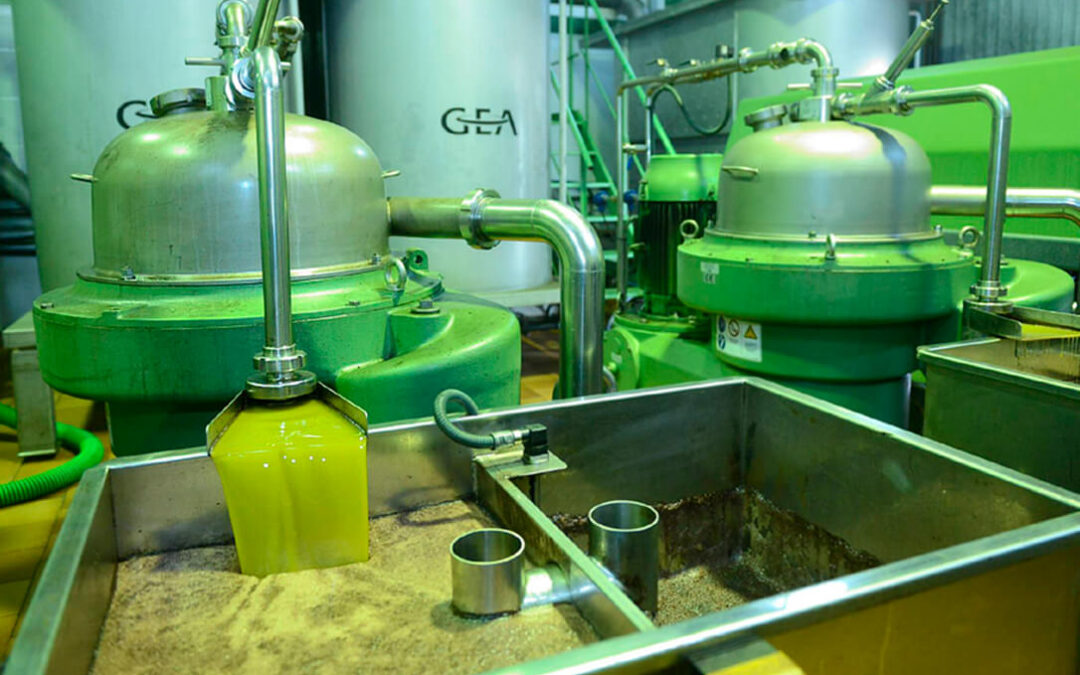 La CE aprueba la propuesta de autorregulación voluntaria del aceite de oliva para una retirada de producto del mercado