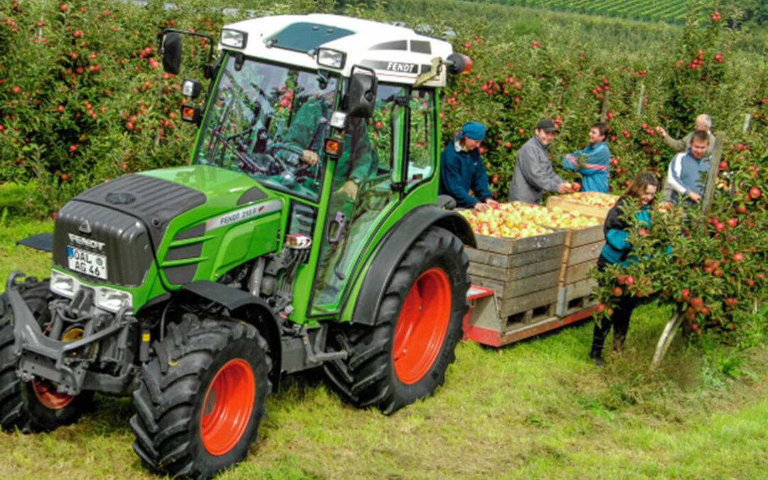 Las matriculaciones de tractores agrícolas crecieron un 2,2% en octubre pero el sector sigue perdiendo un 12% de ventas este año