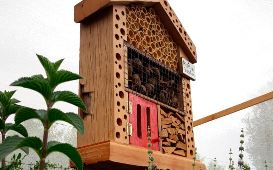 Experiencia piloto: Un Hotel de insectos para cobijar a insectos para el control natural de plagas
